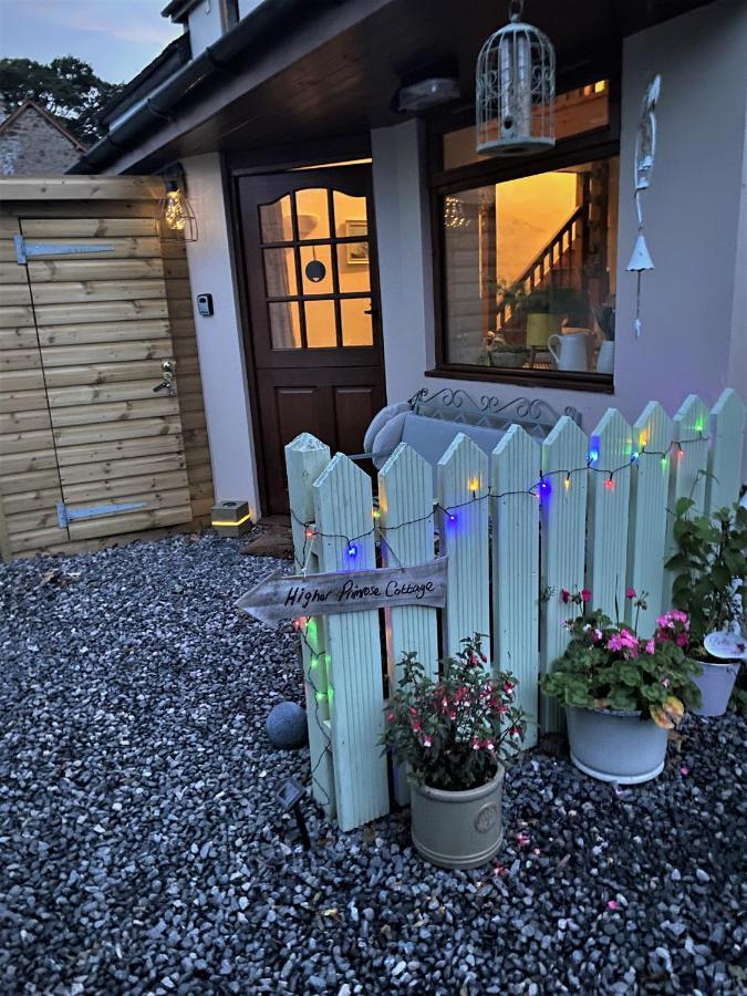 Higher Primrose Cottage Winkleigh Exteriör bild